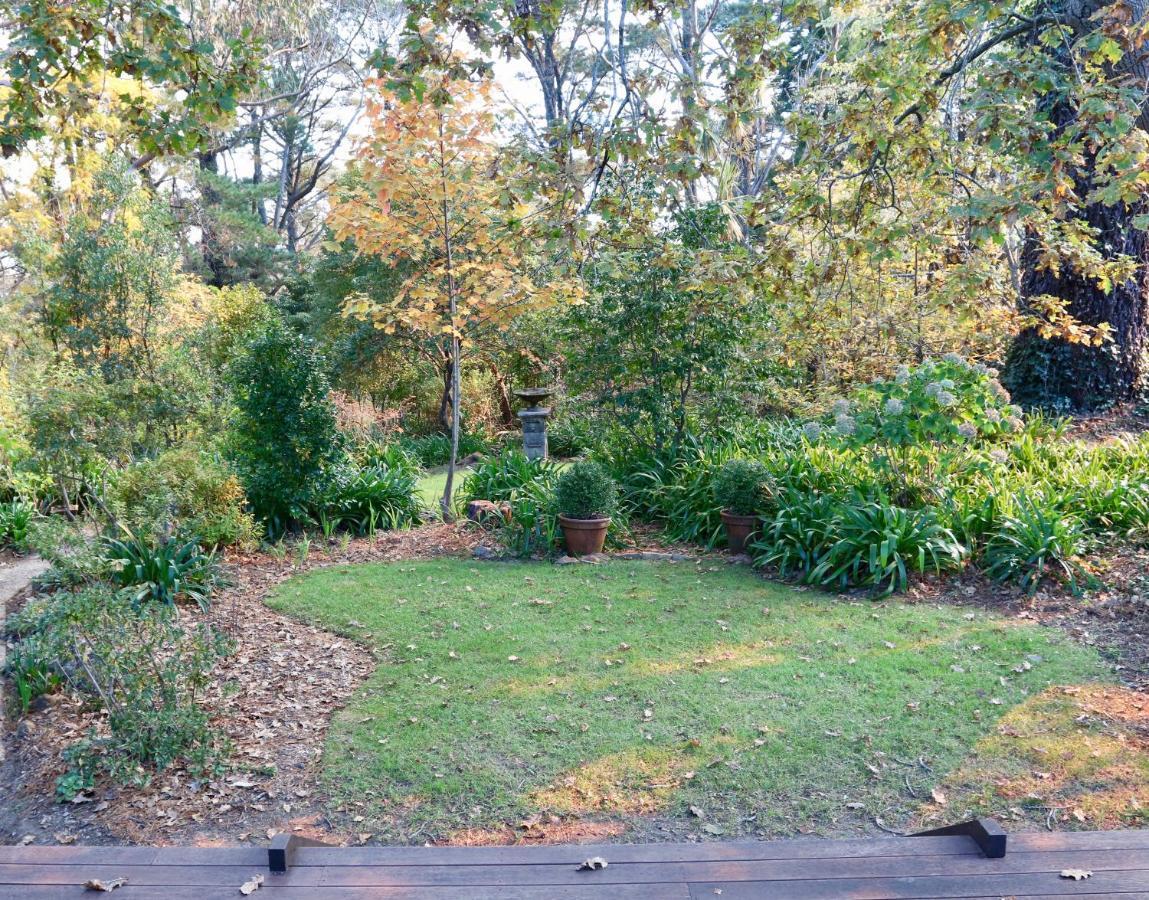 Poet'S Cottage - Fireplace, Close To Treks Wentworth Falls Zewnętrze zdjęcie